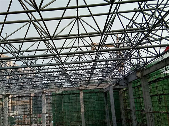 河南光谷第十一小学网架